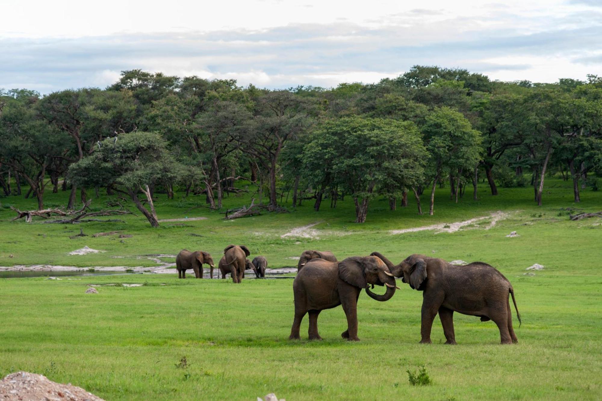 Hwange Safari Lodge Dete Екстериор снимка